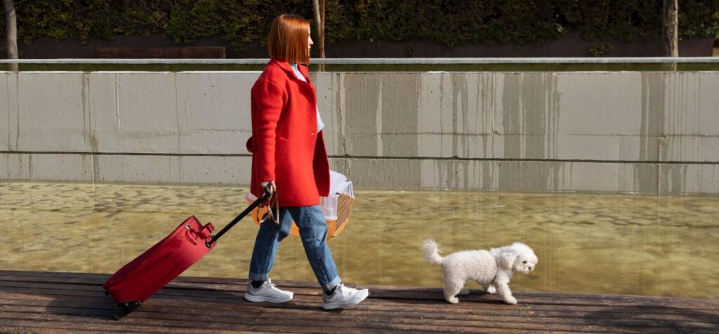 Air Dolomiti Pet Policy