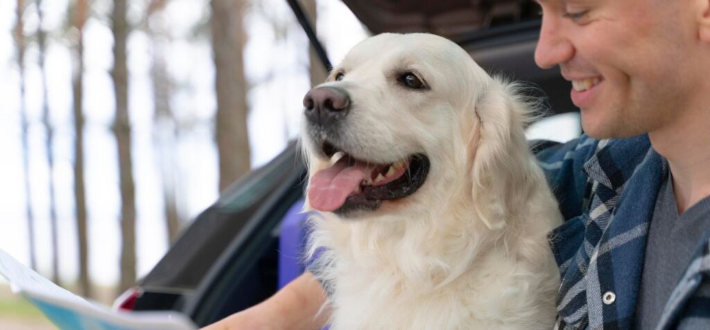 KLM Airlines Pet Policy