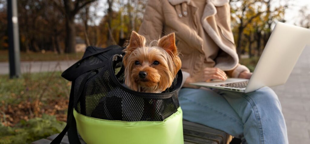 Lufthansa Pet Policy